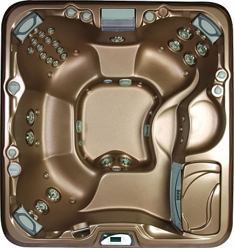 СПА бассейн Sundance Spas 880 серия Majesta, 206х219х96см цвет чаши платина, цвет корпуса тик